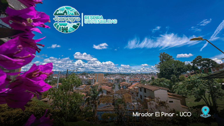 pinar
