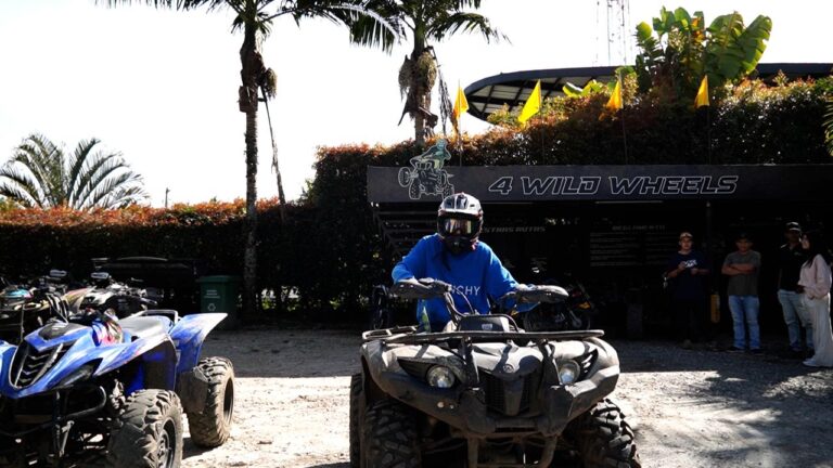 WhatsApp Image 2025-11-13 at 3.22.21 PM (2)