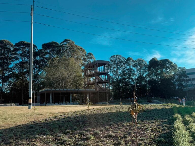 WhatsApp Image 2025-11-18 at 11.14.45 AM