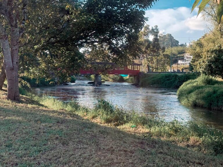 WhatsApp Image 2025-11-18 at 11.14.46 AM (1)