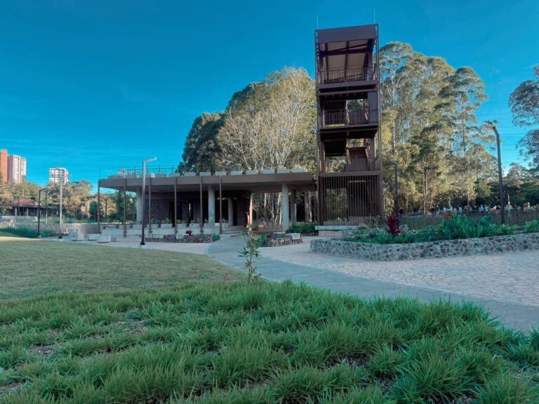 WhatsApp Image 2025-11-18 at 11.14.46 AM (3)