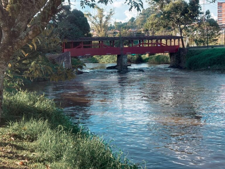 WhatsApp Image 2025-11-18 at 11.14.46 AM