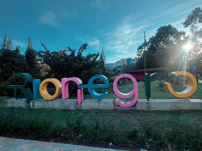 WhatsApp Image 2025-11-18 at 11.14.48 AM